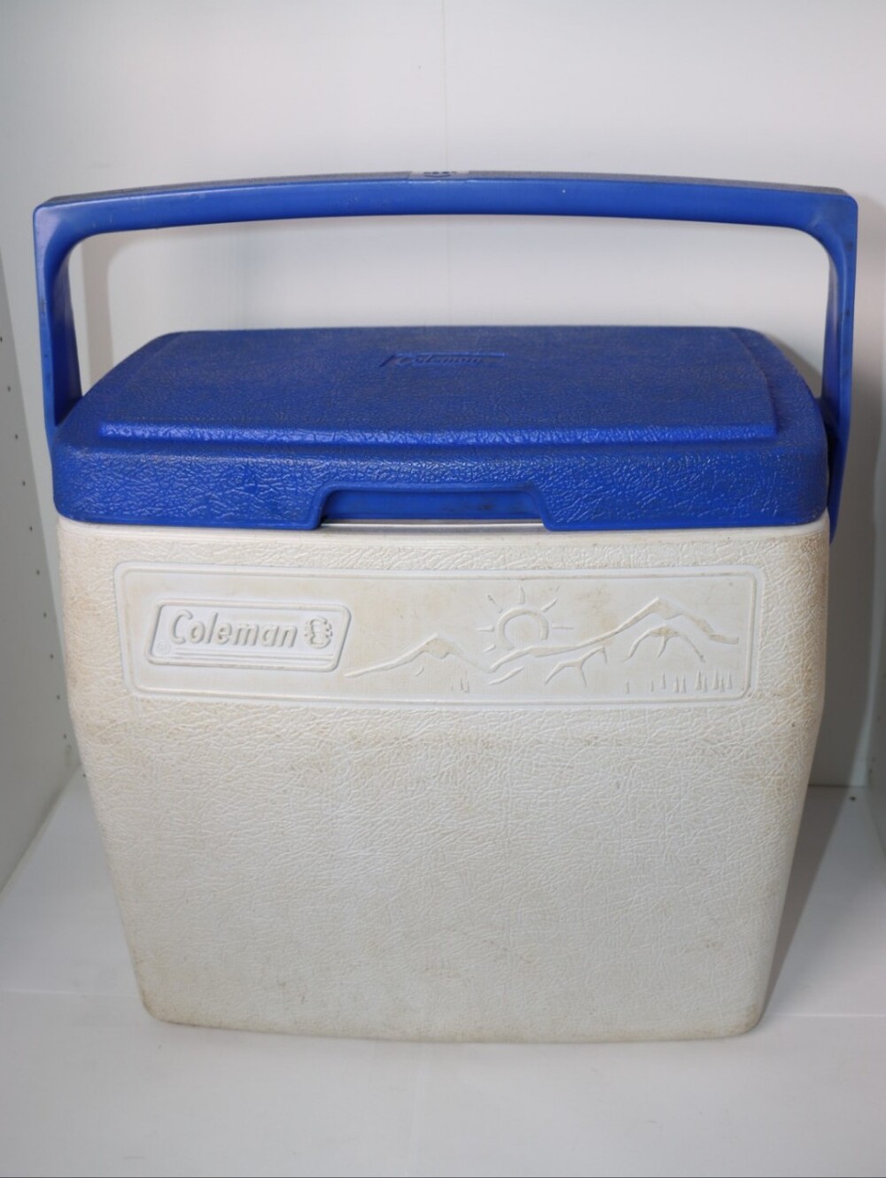 Vintage Coleman Insulated Cooler/Lunchbox
